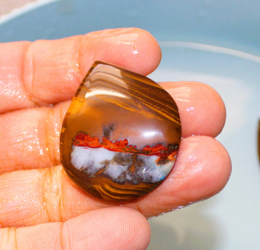 Boulder Nut Opal Pendant WS104